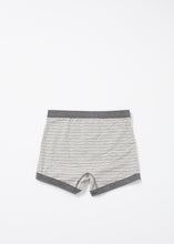 Load image into Gallery viewer, Grand Trunk