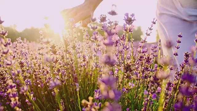 Asymmetric Dress in Cream/Black  - women's dresses - Ethnicyug Amelia Toro